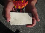 Img 0846