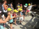 IMG 5348