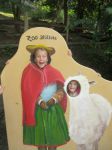 IMG 5367
