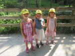 IMG 5379