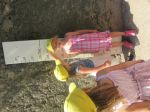 IMG 5398
