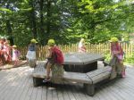 IMG 5415